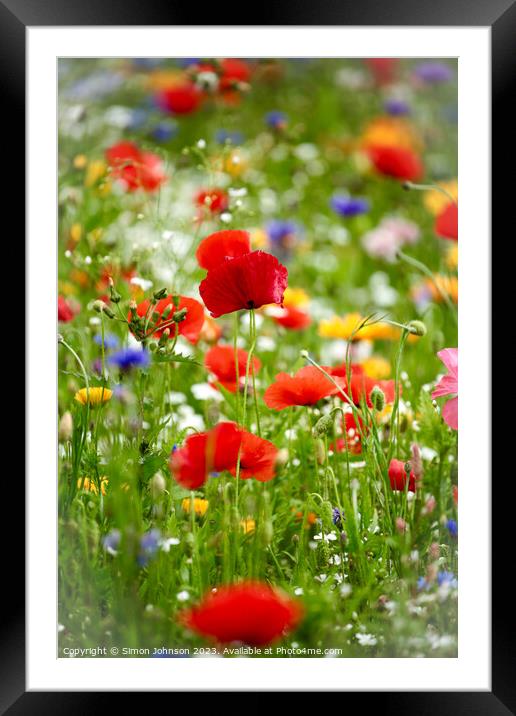 meadow flowers with poppies Framed Mounted Print by Simon Johnson