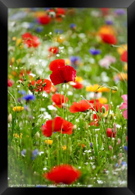 meadow flowers with poppies Framed Print by Simon Johnson