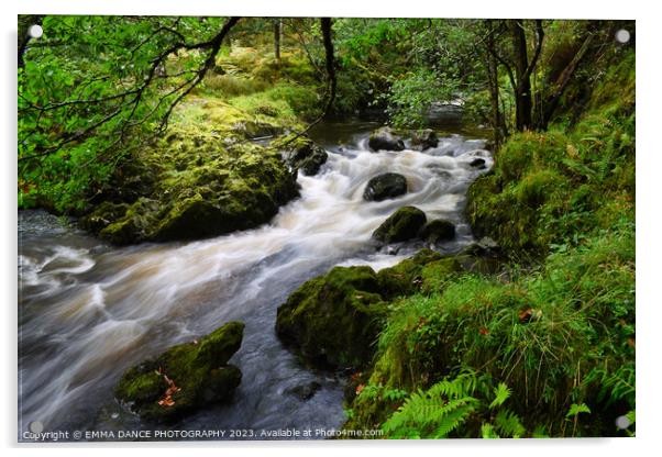 The Streams at Lodore Falls, Lake District Acrylic by EMMA DANCE PHOTOGRAPHY
