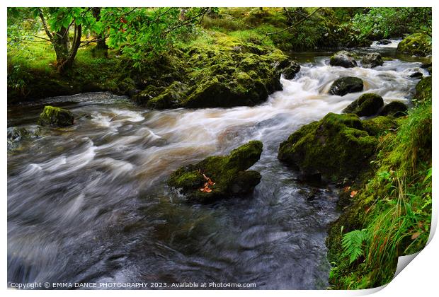 The Streams at Lodore Falls, Lake District Print by EMMA DANCE PHOTOGRAPHY