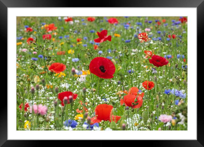 poppies and wild flowers Framed Mounted Print by Simon Johnson