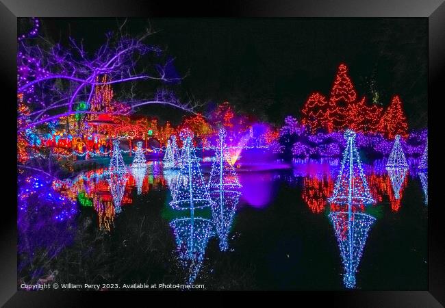 Christmas Lights Van Dusen Garden Vancouver British Columbia Framed Print by William Perry