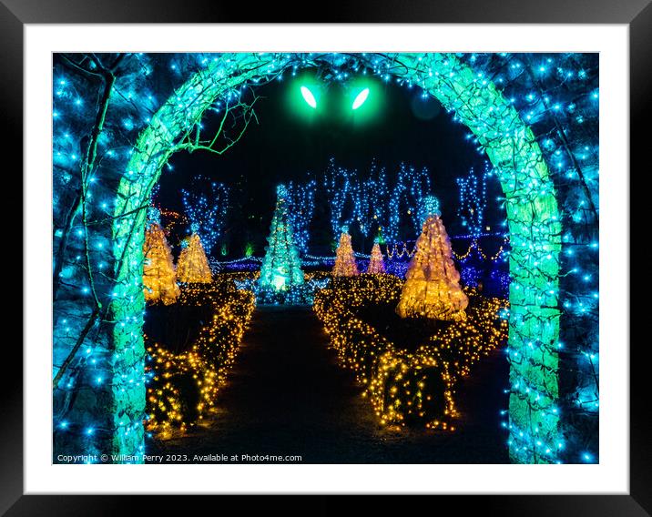 Blue Green Arch Christmas Lights Van Dusen Garden Vancouver Brit Framed Mounted Print by William Perry