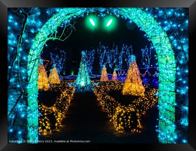 Blue Green Arch Christmas Lights Van Dusen Garden Vancouver Brit Framed Print by William Perry