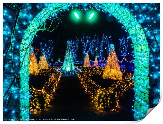 Blue Green Arch Christmas Lights Van Dusen Garden Vancouver Brit Print by William Perry