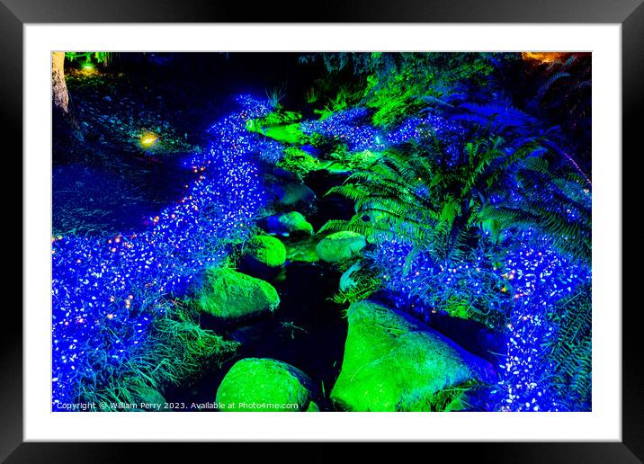 Blue Christmas Lights Van Dusen Garden Vancouver British Columbi Framed Mounted Print by William Perry