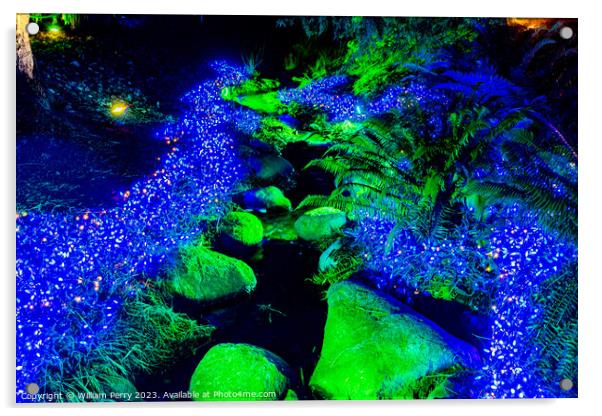 Blue Christmas Lights Van Dusen Garden Vancouver British Columbi Acrylic by William Perry
