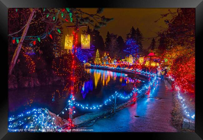 Christmas Lights Van Dusen Garden Vancouver British Columbia Framed Print by William Perry
