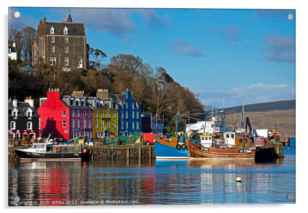 Tobermory, Isle of Mull, Argyll and Bute, Scotland Acrylic by Arch White