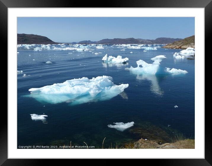 Ice flows at Narsaq, Greenland Framed Mounted Print by Phil Banks