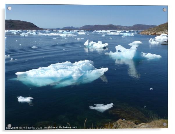 Ice flows at Narsaq, Greenland Acrylic by Phil Banks