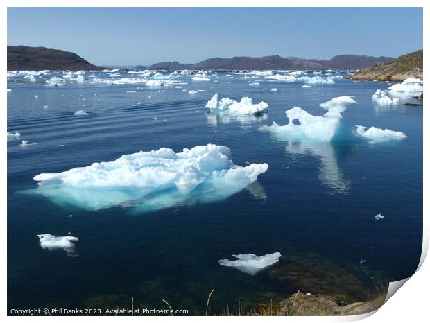 Ice flows at Narsaq, Greenland Print by Phil Banks