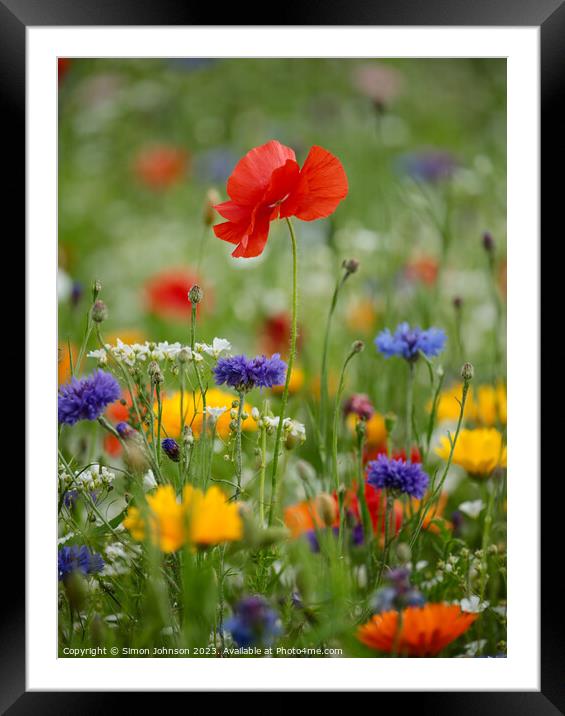 Vibrant Flora Unveiled Framed Mounted Print by Simon Johnson