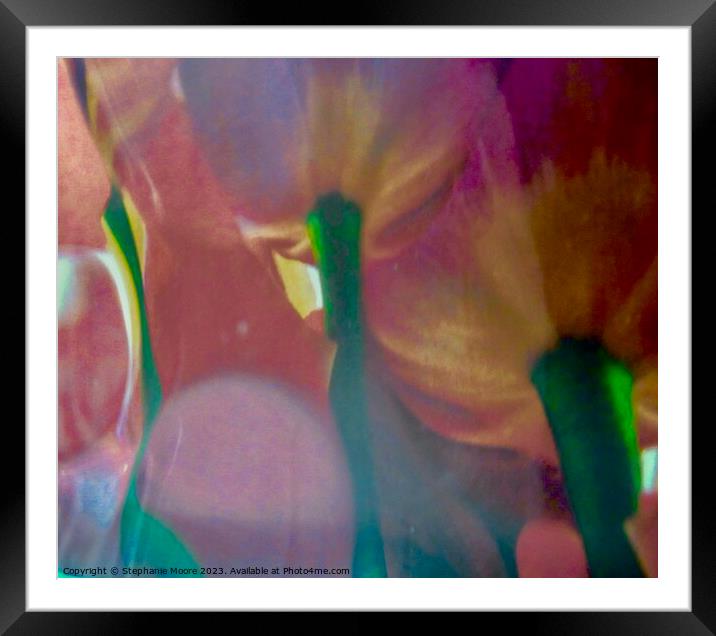 Underneath the tulips Framed Mounted Print by Stephanie Moore