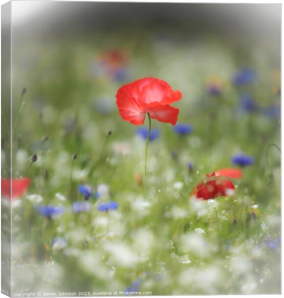  Poppy flower with soft focus Canvas Print by Simon Johnson