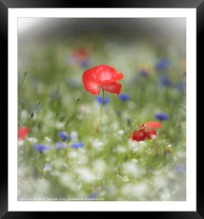  Poppy flower with soft focus Framed Mounted Print by Simon Johnson