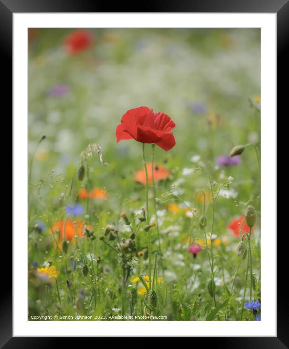 Enchanting Wildflower Close-Up Framed Mounted Print by Simon Johnson