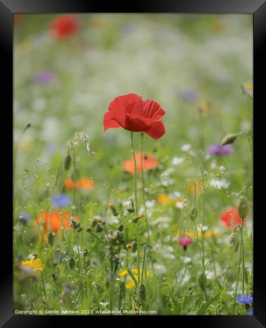 Enchanting Wildflower Close-Up Framed Print by Simon Johnson