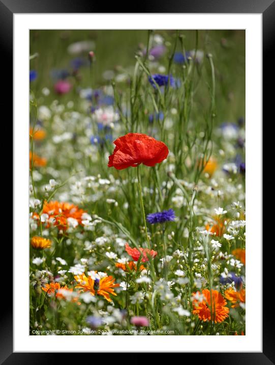 meadow flower close up Framed Mounted Print by Simon Johnson