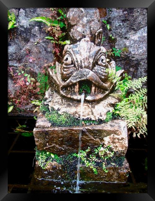 Fountain Framed Print by Stephanie Moore