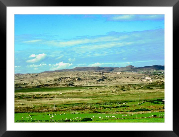 Sheep in Sligo, Ireland Framed Mounted Print by Stephanie Moore