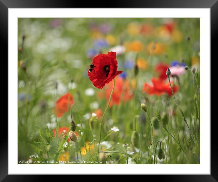 Outdoor field Framed Mounted Print by Simon Johnson