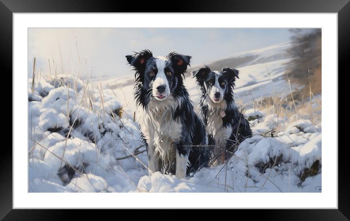 Border Collies In Winter Framed Mounted Print by Steve Smith