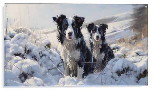 Border Collies In Winter Acrylic by Steve Smith