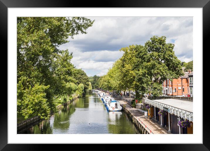 View along the River Wensum Framed Mounted Print by Jason Wells
