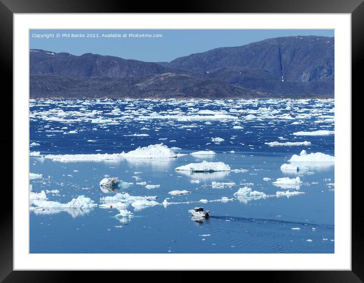 Small boat and ice flows at Narsaq, Greenland Framed Mounted Print by Phil Banks