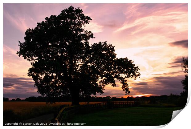 North Norfolk Sunset Print by Steven Dale