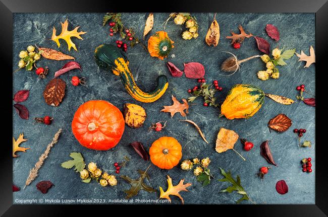 Autumn pumpkins, autumn harvest. Framed Print by Mykola Lunov Mykola