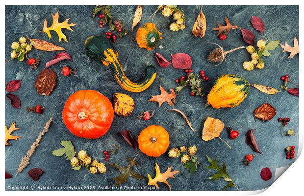 Autumn pumpkins, autumn harvest. Print by Mykola Lunov Mykola