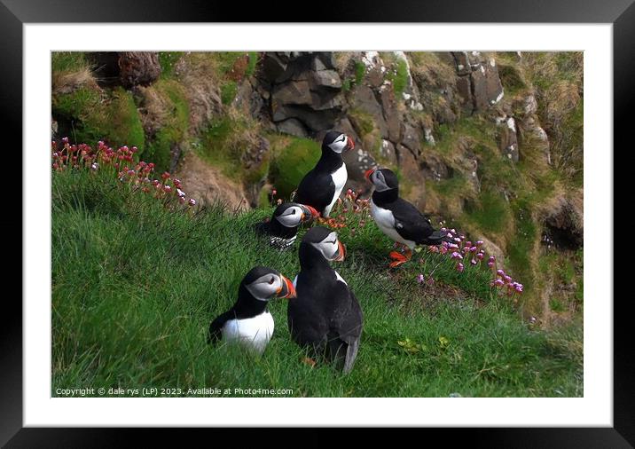 Fingals Cave Staffa PUFFINS Framed Mounted Print by dale rys (LP)