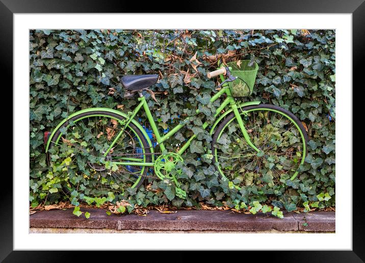 Green Vintage Bicycle At Plants Covered Fence Framed Mounted Print by Artur Bogacki