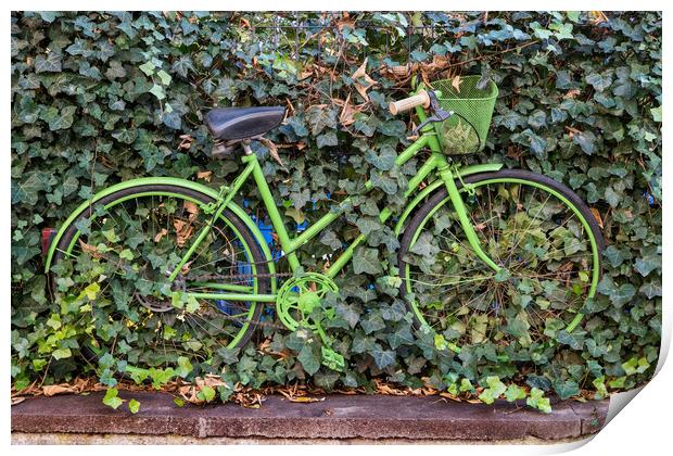 Green Vintage Bicycle At Plants Covered Fence Print by Artur Bogacki