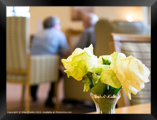 Pale yellow roses start to wilt as a conversation  Framed Print by Mike Shields