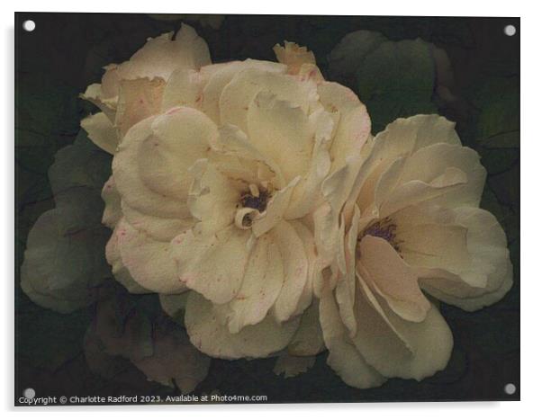 Heavenly Roses Acrylic by Charlotte Radford