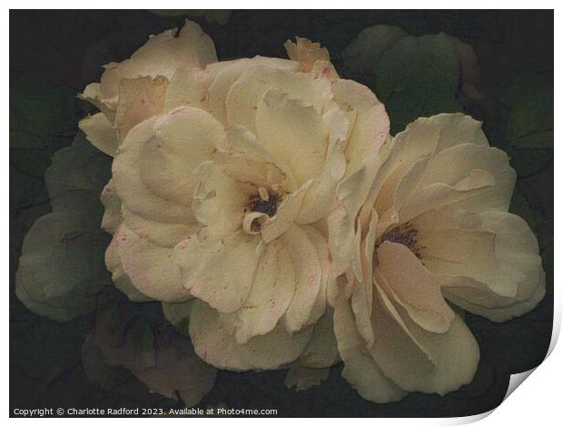 Heavenly Roses Print by Charlotte Radford
