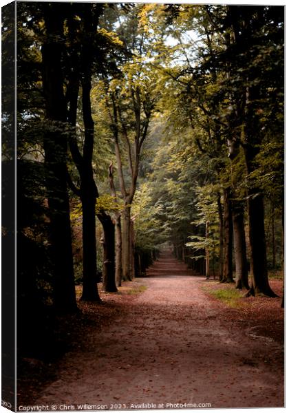 forest lane with trees vertical photo shot Canvas Print by Chris Willemsen