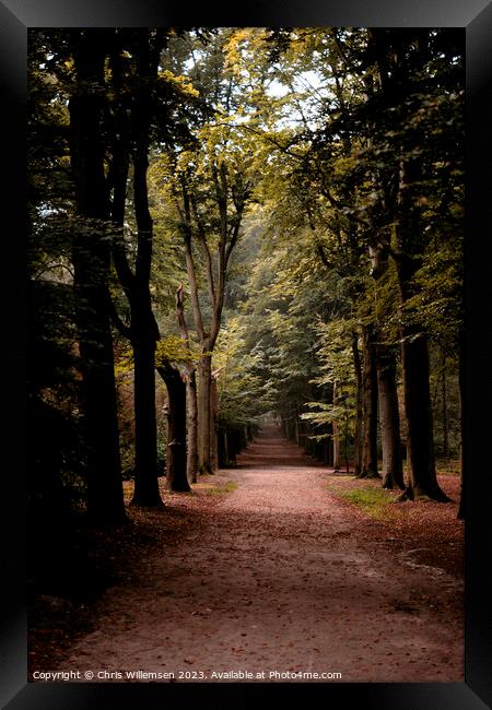 forest lane with trees vertical photo shot Framed Print by Chris Willemsen