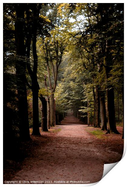 forest lane with trees vertical photo shot Print by Chris Willemsen