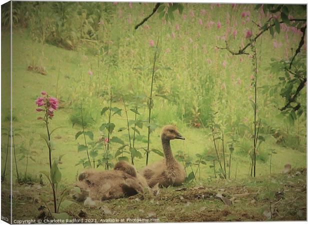 Resting on the Riverbank Canvas Print by Charlotte Radford