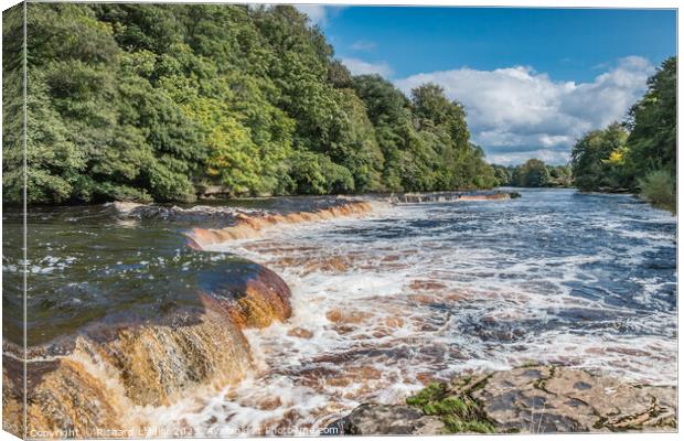 The River Tees at Whorlton, Teesdale Canvas Print by Richard Laidler