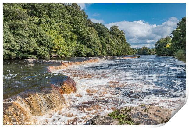 The River Tees at Whorlton, Teesdale Print by Richard Laidler