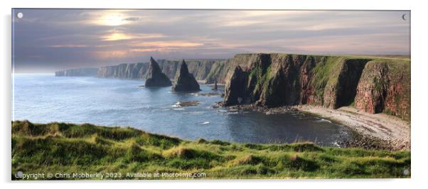 The Duncansby Stacks Acrylic by Chris Mobberley