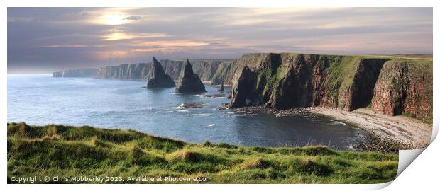 The Duncansby Stacks Print by Chris Mobberley