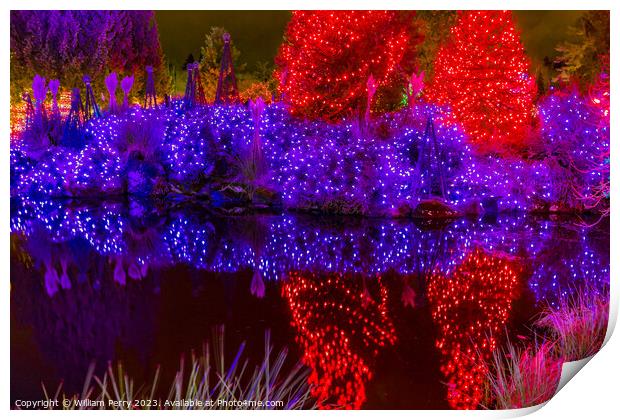 Christmas Lights Reflection Van Dusen Garden Vancouver British C Print by William Perry