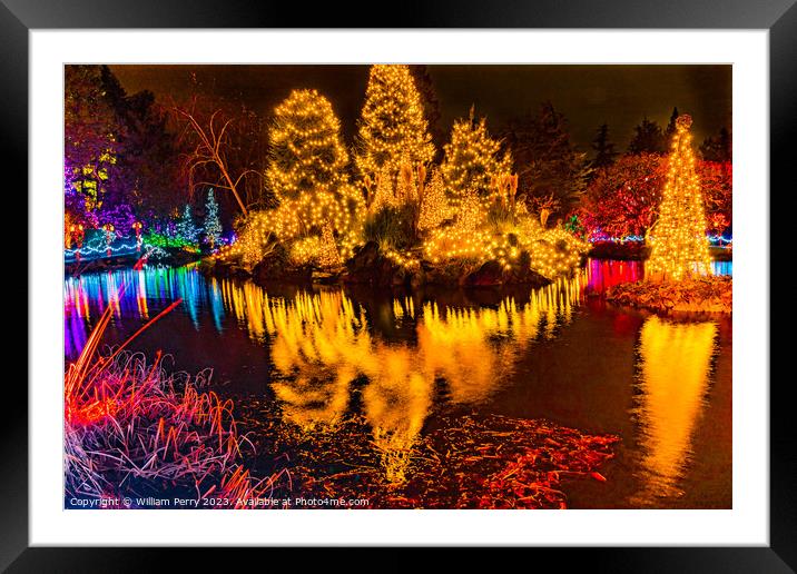 Christmas Lights Reflection Van Dusen Garden Vancouver British C Framed Mounted Print by William Perry