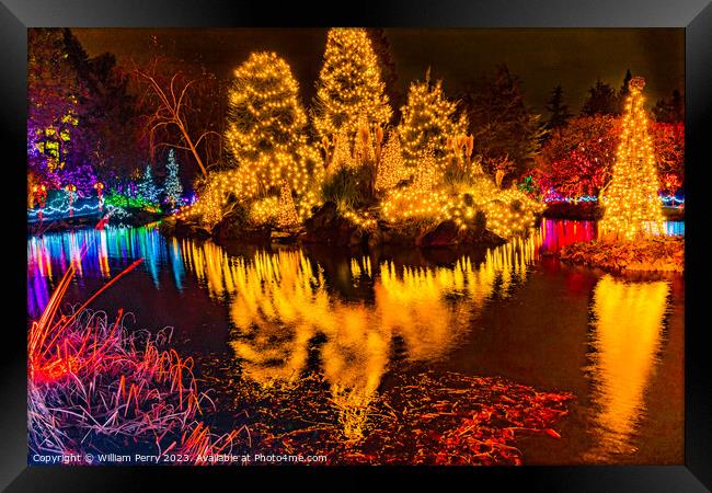 Christmas Lights Reflection Van Dusen Garden Vancouver British C Framed Print by William Perry